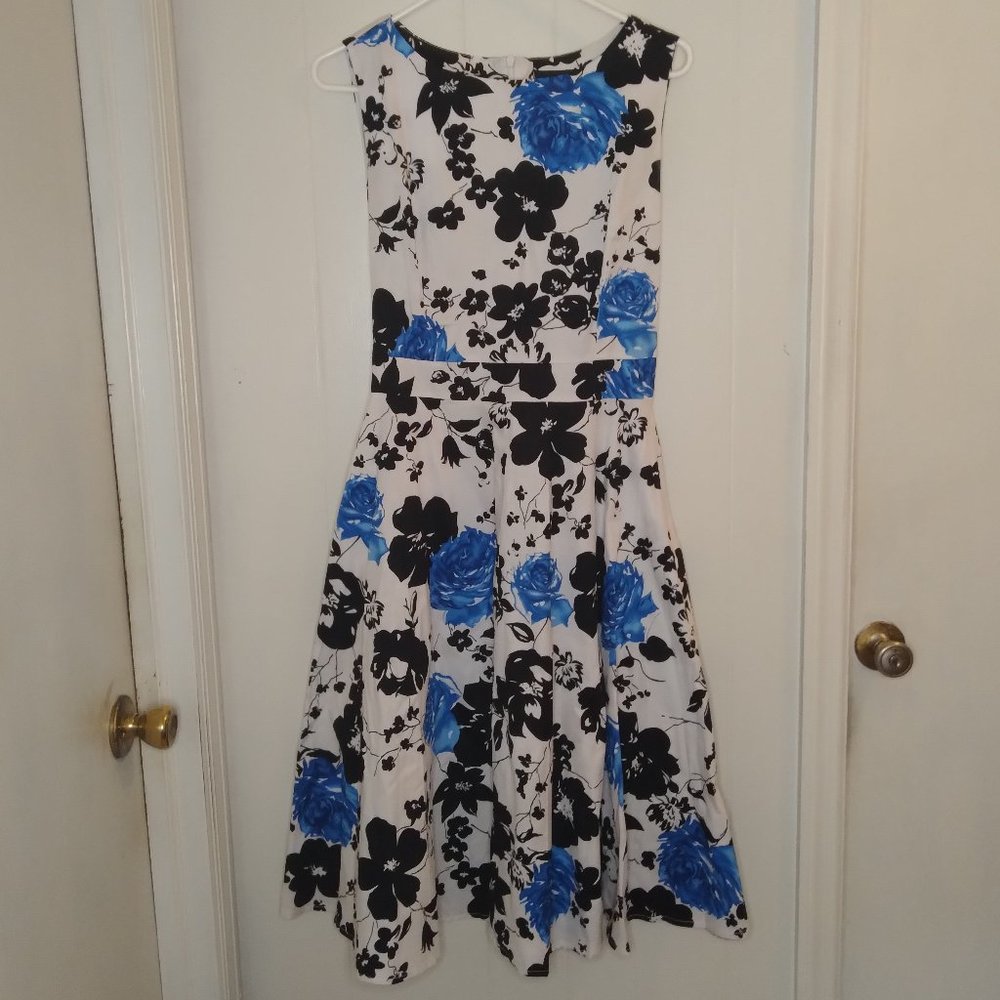 FancyQube Floral Sleeveless Dress - White and Blue